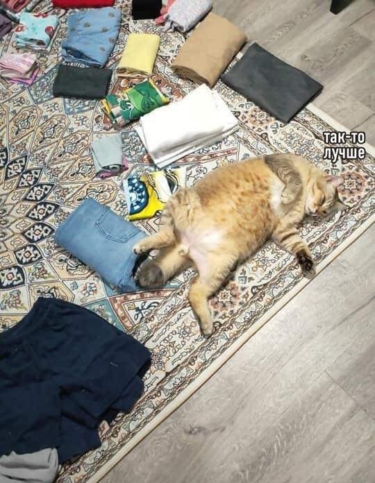 ��� �������� �����) - 4