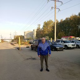 , 61, 