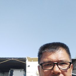 , 46, 