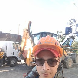 , 61, 
