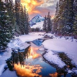 �����, �����, 60 ���