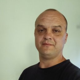 , 41, 