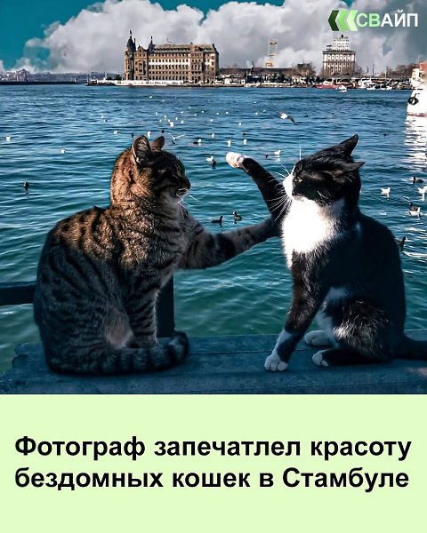 ���� �� �����, ������� ��� ������ ����� �������� � ��������