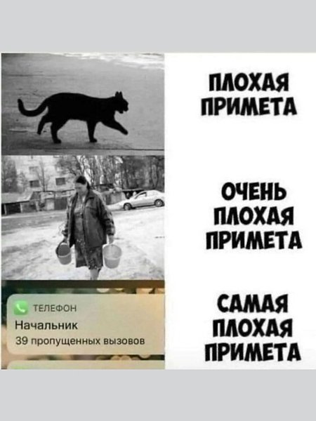 ��� ���� - 23 ������� 2024 � 21:28