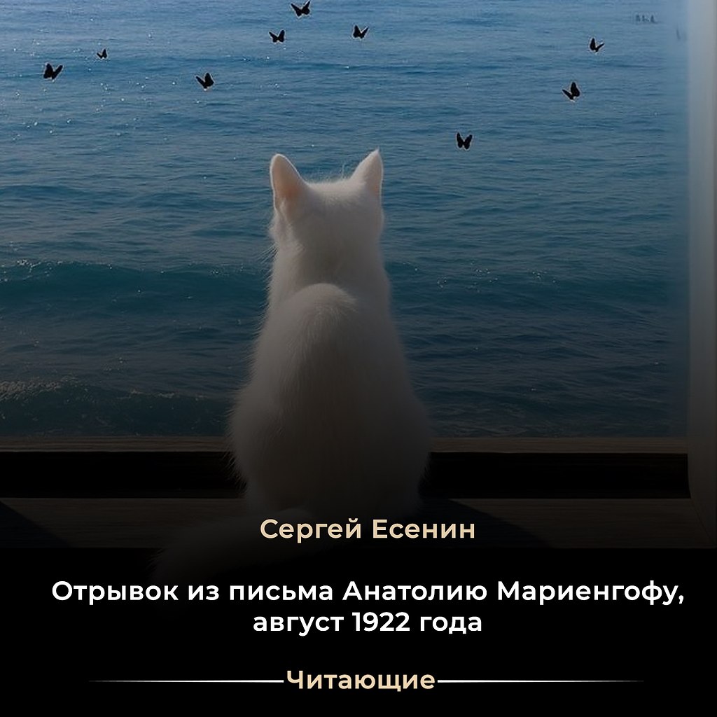 ��ae�� �� ��, ����c����� �����a��, ������? �e�! �� �� ������ ������. ���e ���, ����� �����������, ...