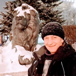 ���� �������, ����������, 48 ��� - ��������� 25 ������ 2023