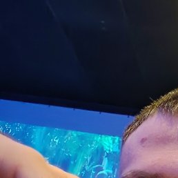 ������, �������, 23 ����