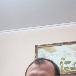 , 36, 