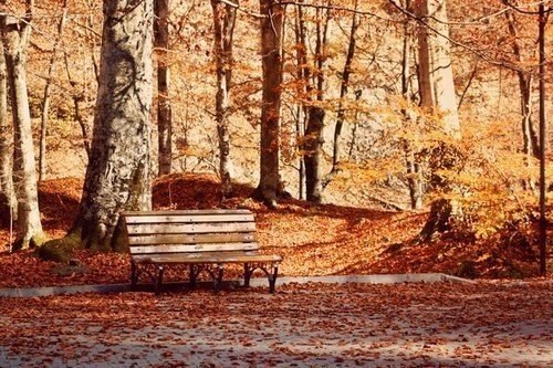    ,    ,      -, ... - 5