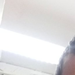 ������, �����-���������, 26 ���