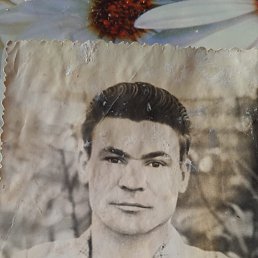 , 38, 