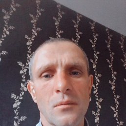 , 41 , 