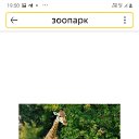 ���� ��������, ������, 41 ��� - ��������� 22 ������ 2025 � ������ ���� ����������
