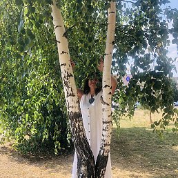 ������, �������, 53 ����