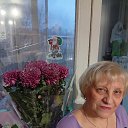 ���� �����, ������, 66 ��� - ��������� 30 ������� 2025