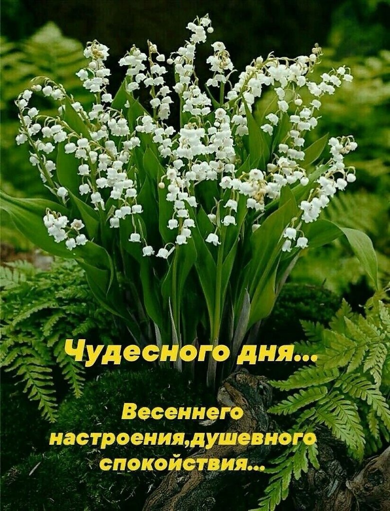   - 12  2025  16:52