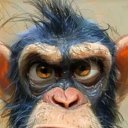 ���� Goha, ������, 57 ��� - ��������� 30 ������� 2024