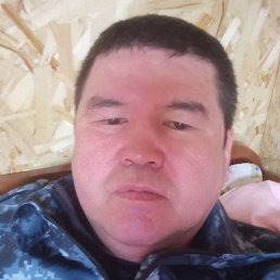 ��������, ����������, 49 ���