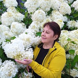 �������, ������������, 60 ���