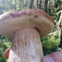 ���� ������, ������, 67 ��� - ��������� 28 ������� 2025 � ������ ���� ����������