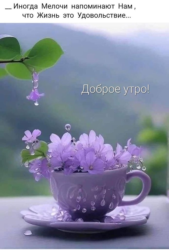   ,    . - 12  2025  23:43