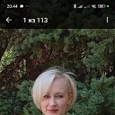 ���� �����, ������, 44 ���� - ��������� 2 ����� 2026 � ������ ���� ����������