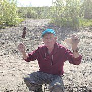 , 62 , 