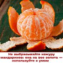  , , 74  -  22  2024    