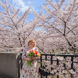 ����, ��������, 51 ���