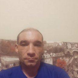����, 41 ���, ������