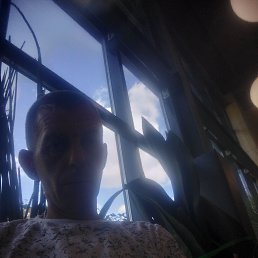  , 44 , 