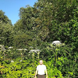 ���� ����, �����-���������, 91 ��� - ��������� 1 ������� 2024