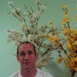 ����, 45 ���, ������-���