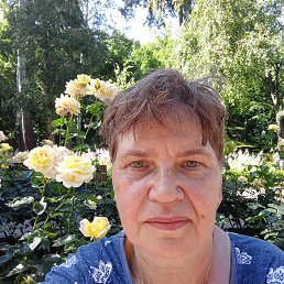 ���� ������, ������, 64 ���� - ��������� 23 ��� 2026
