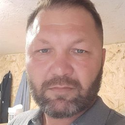 ����, ������, 43 ����