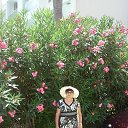 ���� �������, ��� - ��������� 2 ������� 2025 � ������ ���� ����������