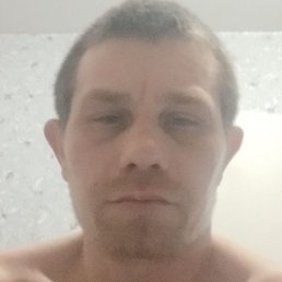 ����, �������, 40 ���