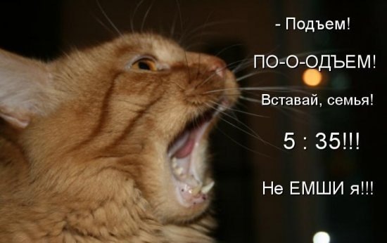 ОБО ВСЕМ - 24 октября 2025 в 10:02