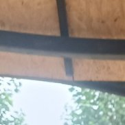 , 39 , 