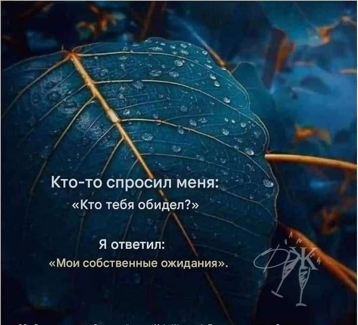   - 14  2025  09:59