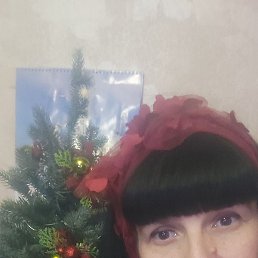 �����, ������-��-����, 52 ����