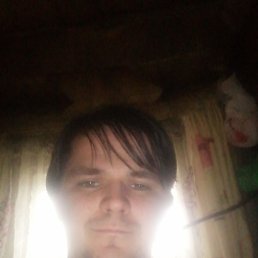 , , 31 