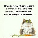 ���� �����@�, ������������ - ��������� 20 ������ 2026 � ������ ���� ����������