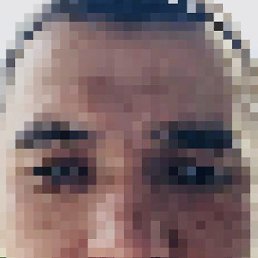 , 37, 