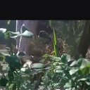 ���� ���� /�����������, ������-��-����, 58 ��� - ��������� 10 ��� 2026 � ������ ���� ����������