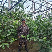 �����, 48 ���, �������