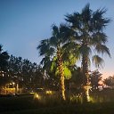 ���� �����, ������, 61 ��� - ��������� 30 ������ 2026 � ������ ���� ����������