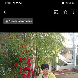 , 59, 