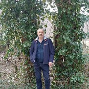 ����� ��������, 61 ���, ���������