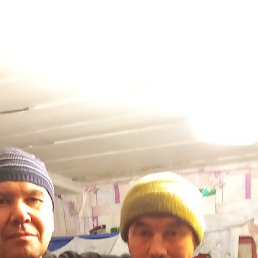 ������, 51 ���, ������